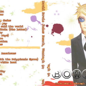 David Bowie 2004-06-04 Wantagh NY DVD